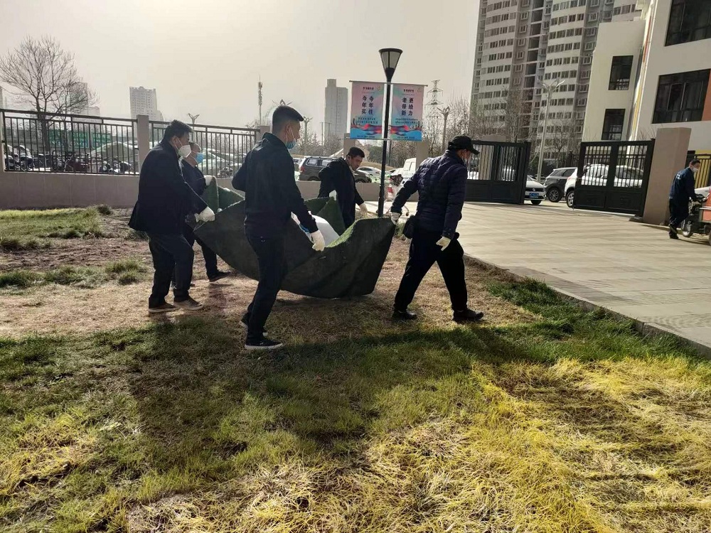 劳动别样美·植树节特辑 | 种下绿色 拥抱春天