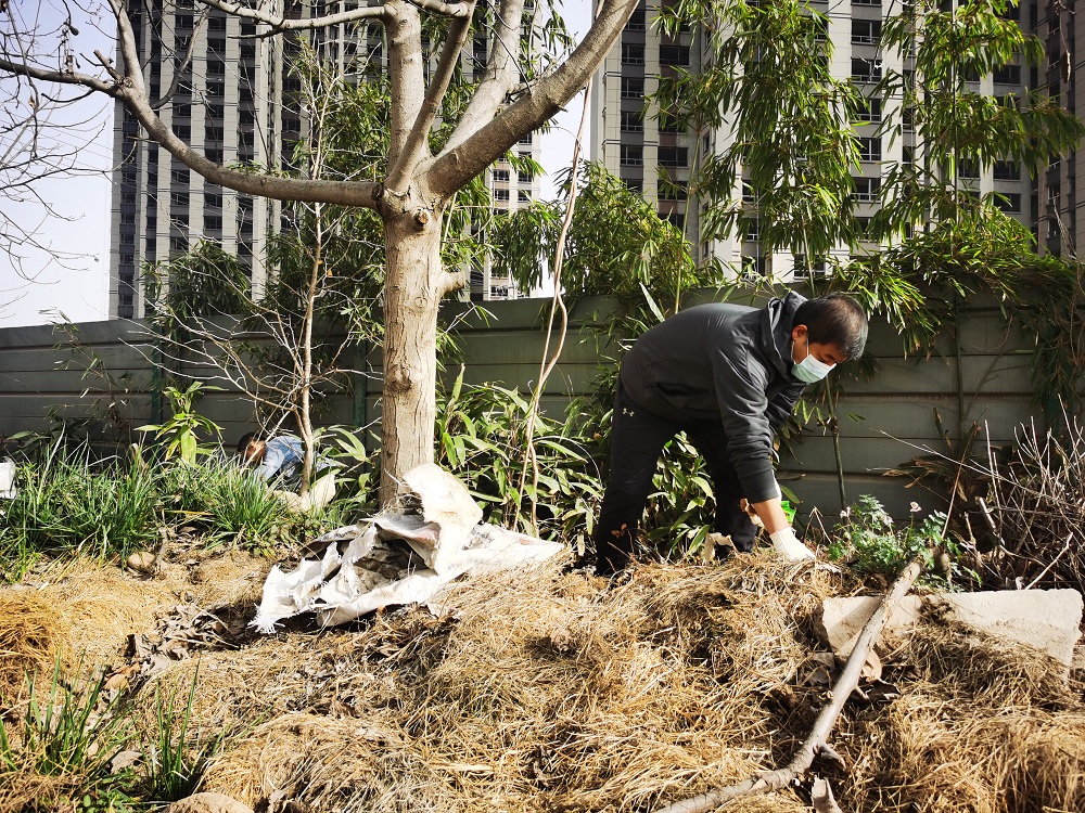 劳动别样美·植树节特辑 | 种下绿色 拥抱春天