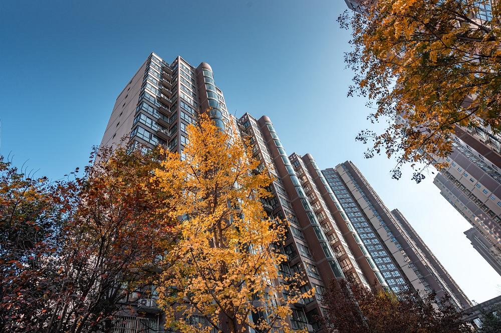 弘扬工匠精神 践行使命担当 | 江昊建设公司荣获“宝鸡市五一劳动奖状”荣誉称号